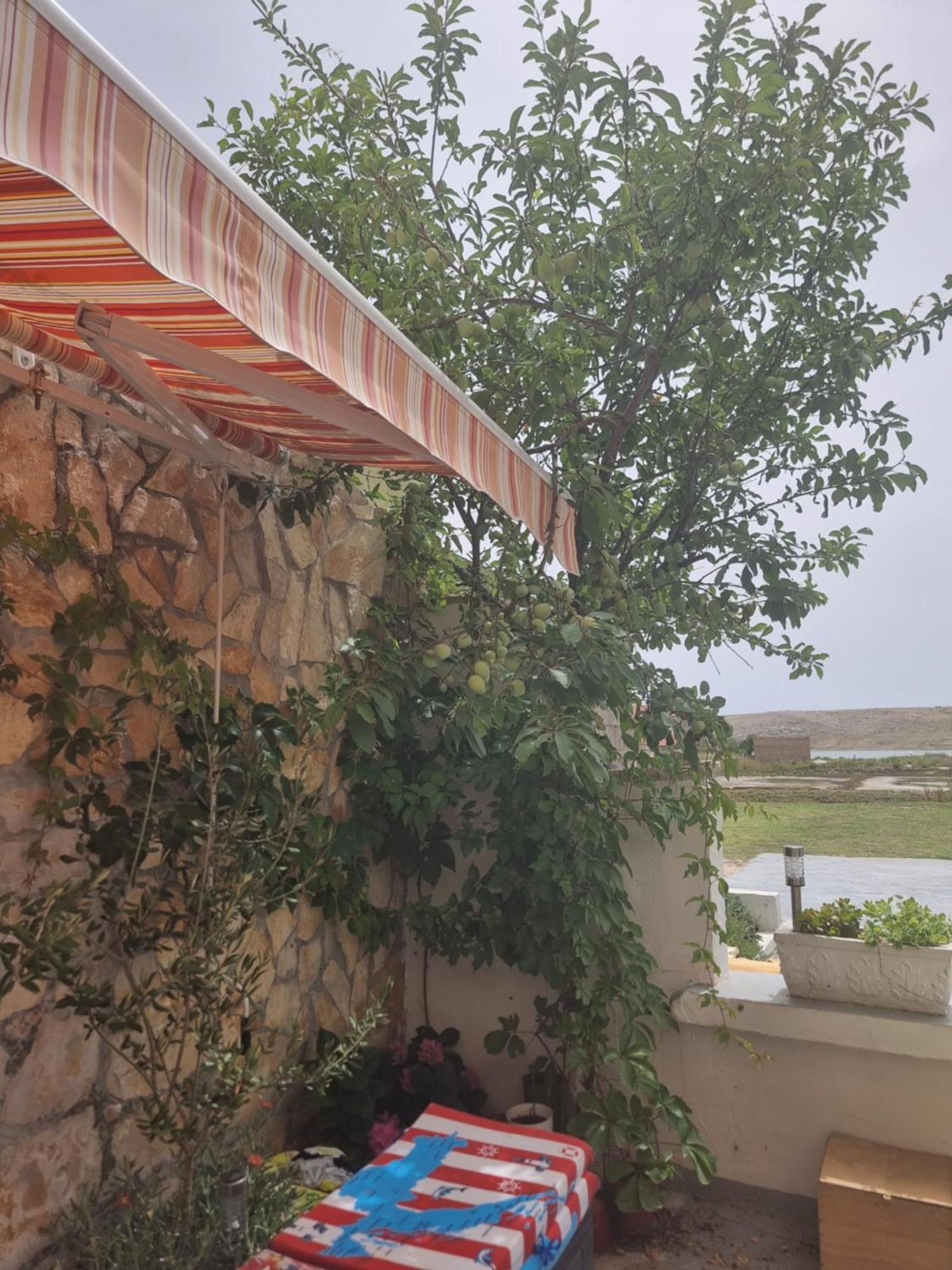 Alen Apartament Dinjiška